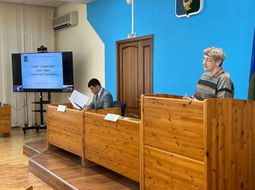 Совет старейшин при главе Советского района Совет старейшин при главе Советского района