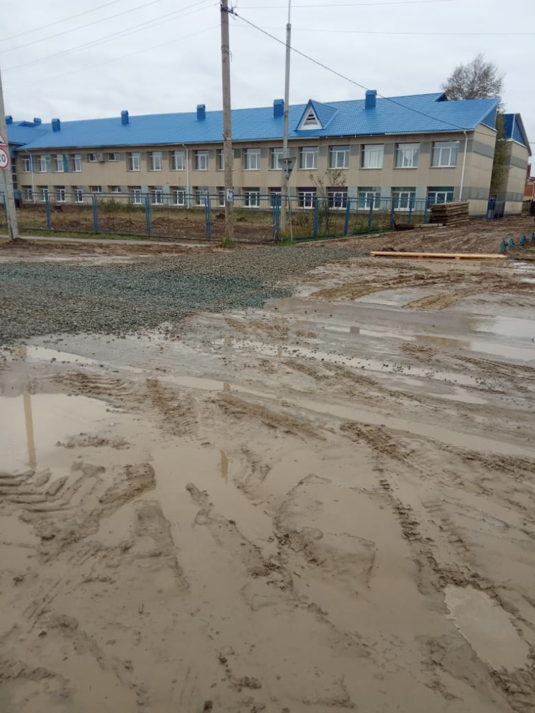 41ZVqi-5kcc.jpg